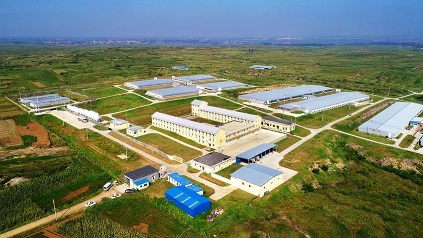 3377体育-全网最全最有态度的体育赛事直播平台