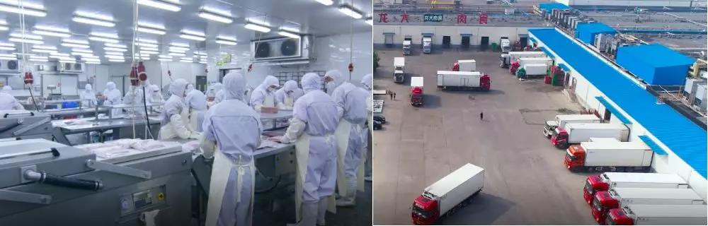 4.jpg 3377体育-全网最全最有态度的体育赛事直播平台